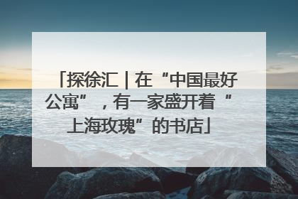 探徐汇｜在“中国最好公寓”，有一家盛开着“上海玫瑰”的书店